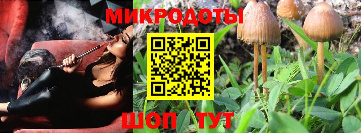 Псилоцибиновые грибы GOLDEN TEACHER Семёнов
